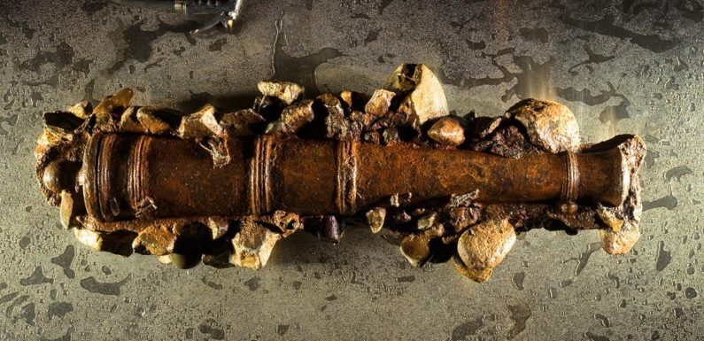 Le butin retrouvé sur le Queen Anne’s Revenge est bien celui de Barbe Noire