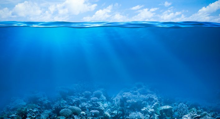 [Science] Invisible pour l’Homme, les canicules marines dévastent déjà la faune