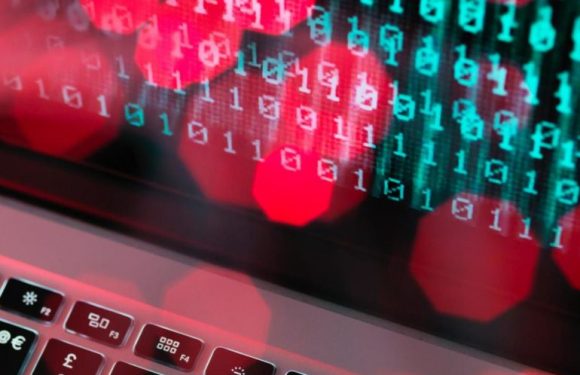 2 millions de chinoises libellées « prête-à-reproduire » dans une base de données