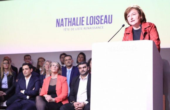 LREM : la liste Loiseau, une drôle de basse-cour