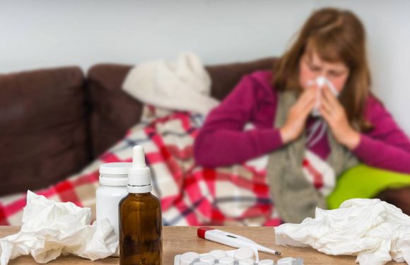 Santé. L’épidémie de grippe est terminée, 8 880 décès recensés