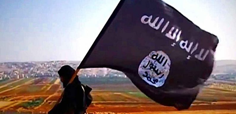 La fillette de 3 ans d’une djihadiste condamnée en Irak a été rapatriée en France