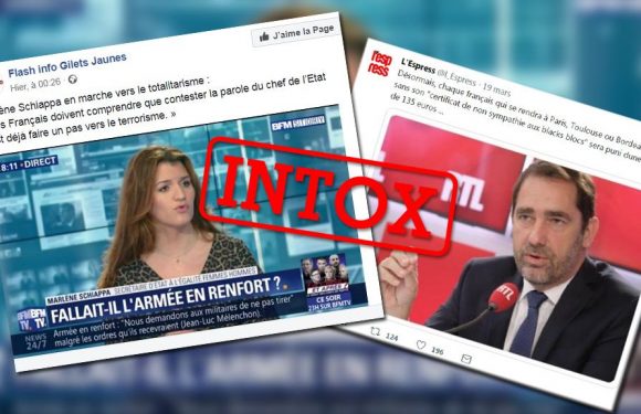 Comptes satiriques et fausses citations : ces tweets détournés qui créent la confusion