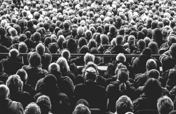 « Plus quelque chose est faux, plus il se propagera vite »