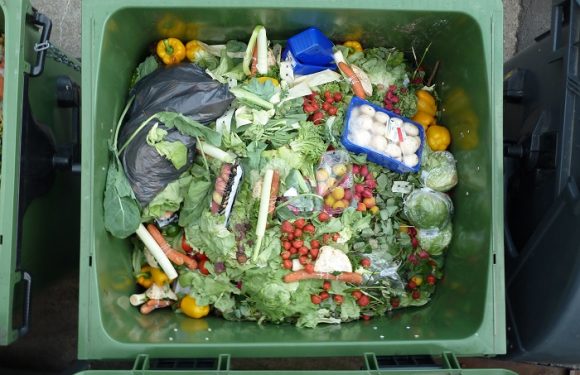 Gaspillage alimentaire : un supermarché sur deux n’est toujours pas collecté quotidiennement