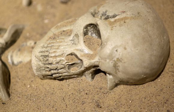 Un squelette datant du Moyen-Âge retrouvé gisant au fond de la Tamise