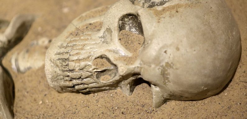 Un squelette datant du Moyen-Âge retrouvé gisant au fond de la Tamise