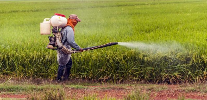 L’Assemblée décale l’interdiction de la production de certains pesticides à 2025