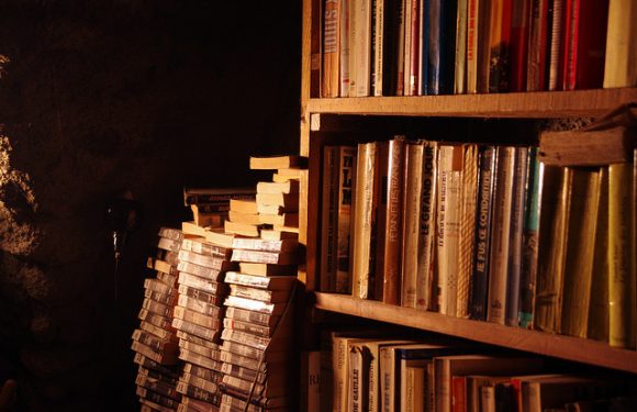 Comment la lecture change votre cerveau (et votre rapport aux autres)