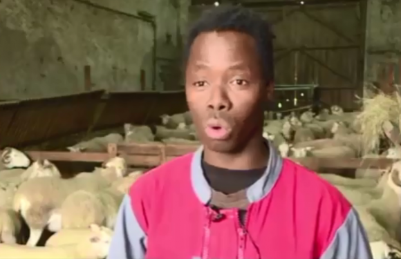 Gironde-sur-Dropt (33) : Les migrants mineurs, une solution au départ à la retraite des agriculteurs pour RTL (màj : Kékouta ne veut déjà plus travailler à la ferme)