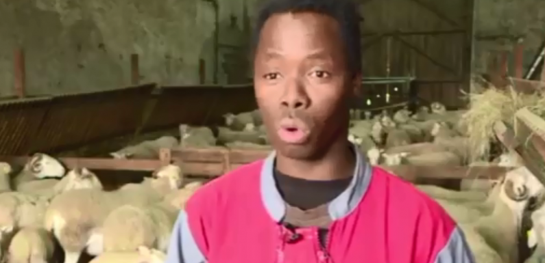 Gironde-sur-Dropt (33) : Les migrants mineurs, une solution au départ à la retraite des agriculteurs pour RTL (màj : Kékouta ne veut déjà plus travailler à la ferme)