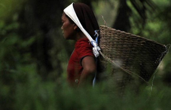 Surmortalité, mariage forcé, déscolarisation… Les femmes sont les premières victimes du réchauffement climatique