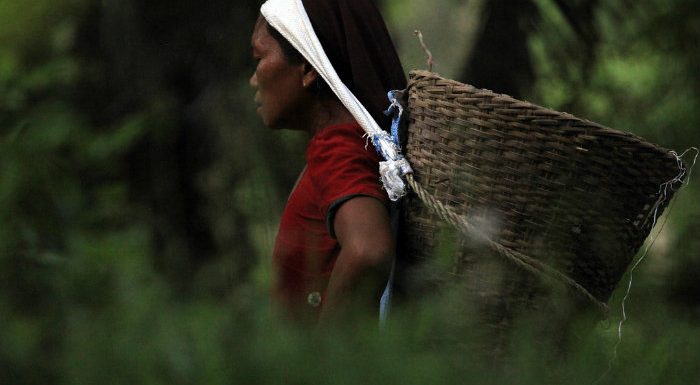 Surmortalité, mariage forcé, déscolarisation… Les femmes sont les premières victimes du réchauffement climatique