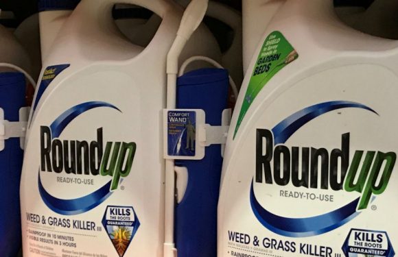 Avec la nouvelle condamnation de Monsanto aux États-Unis, « on change de dimension »