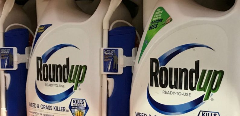 Avec la nouvelle condamnation de Monsanto aux États-Unis, « on change de dimension »