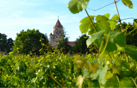 À la découverte de l’abbaye de Lérins, entre terre, mer et Ciel…