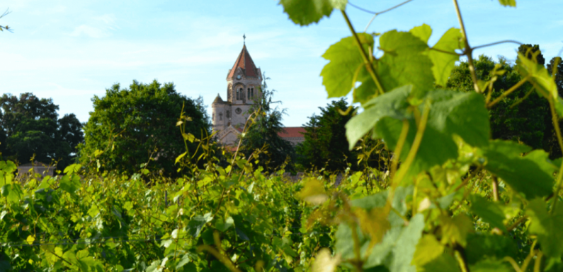 À la découverte de l’abbaye de Lérins, entre terre, mer et Ciel…