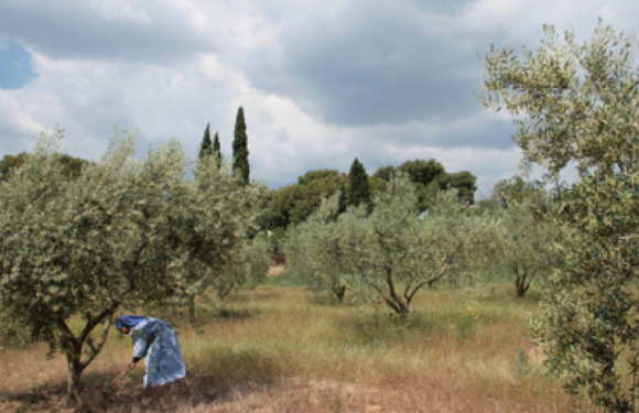 Leur souffle de Cécile Besnault & Ivan Marchaki