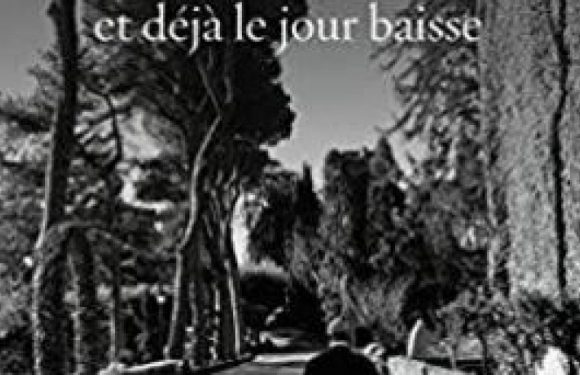 Le cardinal Sarah dénonce les totalitarismes du XXie siècle