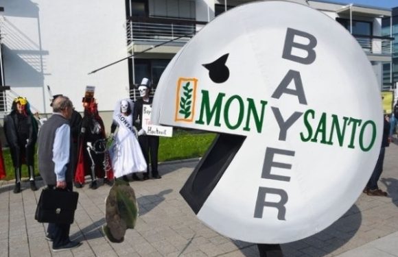 Monsanto condamné à payer près de 81 millions
