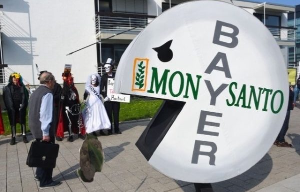 Monsanto condamné à payer près de 81 millions