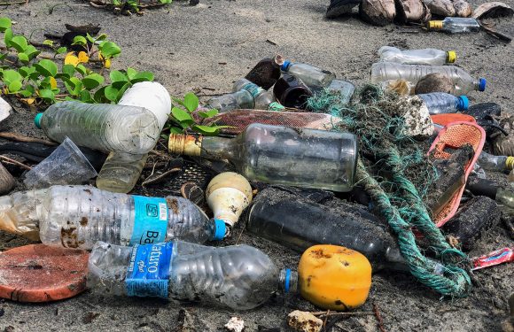 Trashtag Challenge, un défi pour encourager le ramassage d’ordures