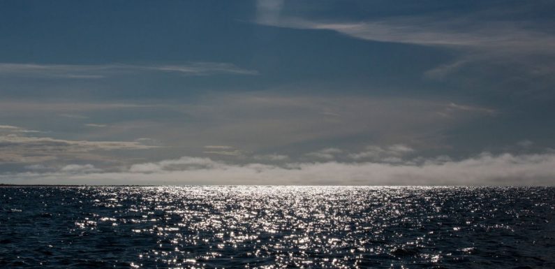 Une juge déclare illégale la reprise des forages offshore décidée par Trump