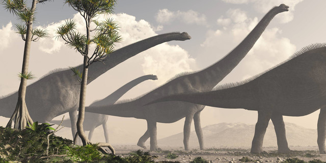 Ardèche : découverte d’un exceptionnel gisement de traces de dinosaures