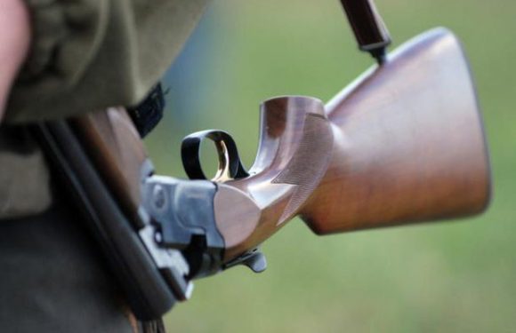 Croatie : le prenant pour un chacal, un chasseur blesse grièvement un migrant