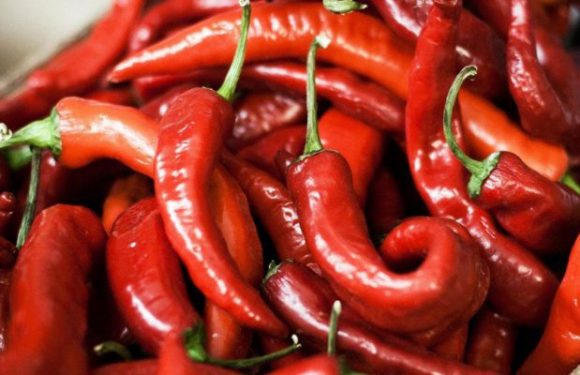 Luisant (28) : une mère africaine condamnée pour avoir introduit un piment dans le vagin de sa fille, elle voulait la « désenvoûter »