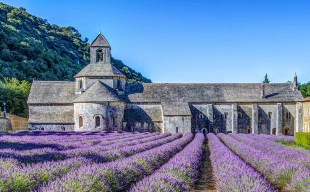 Sénanque (84) : l’abbaye cistercienne en péril