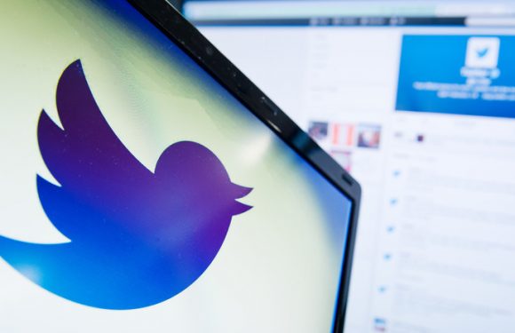 Européennes : Twitter aurait bloqué une campagne du gouvernement en invoquant la loi anti-fake news