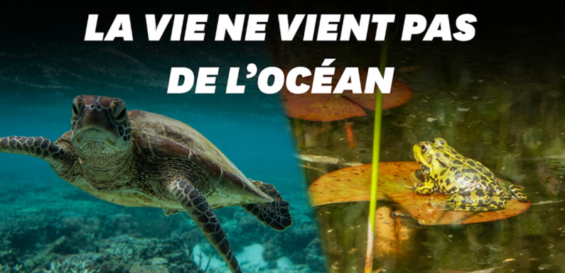 La vie serait née, non pas dans l’océan, mais dans une mare
