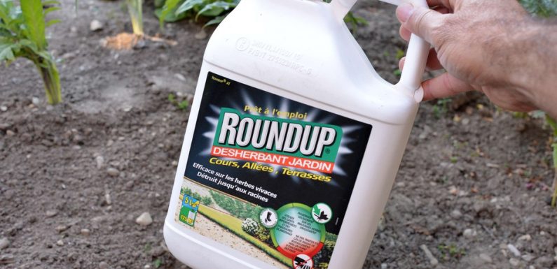 UE: La France dans un groupe de quatre pays pour évaluer le glyphosate
