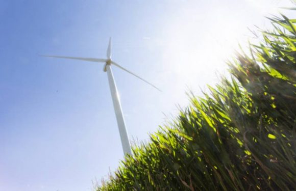 Ondes des éoliennes, fillettes ayant respiré des gaz lacrymogènes, plafonnement des frais bancaires… Attention aux intox de la semaine