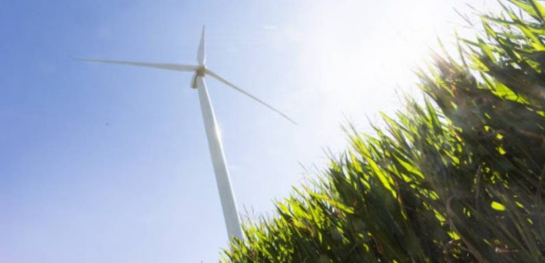 Ondes des éoliennes, fillettes ayant respiré des gaz lacrymogènes, plafonnement des frais bancaires… Attention aux intox de la semaine