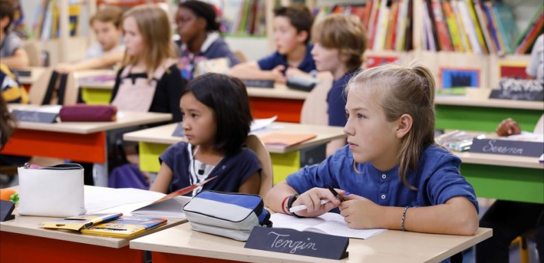«Au tableau!» sur C8: L’émission se passe exceptionnellement de politiques à cause des européennes