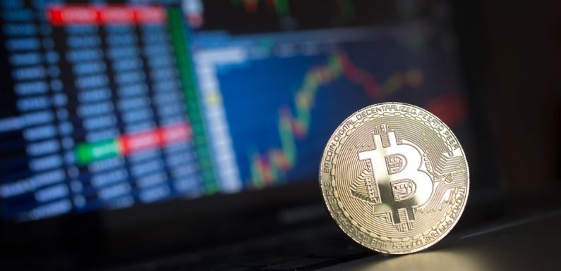 Le bitcoin au plus haut depuis quatre mois