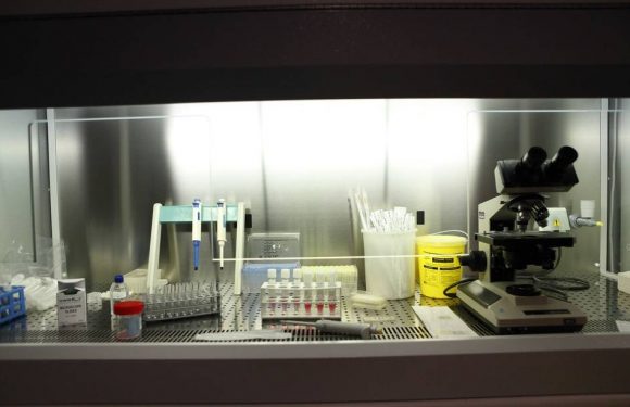 Géniteur de 49 enfants, l’ex-directeur d’une banque de sperme substituait sa semence à celles des donneurs