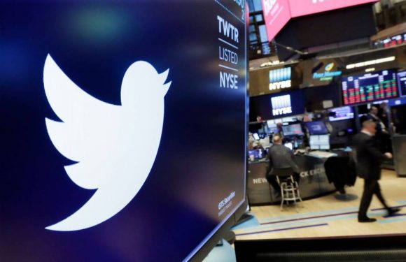 Loi contre les «fake news»: Twitter bloque une campagne du gouvernement français