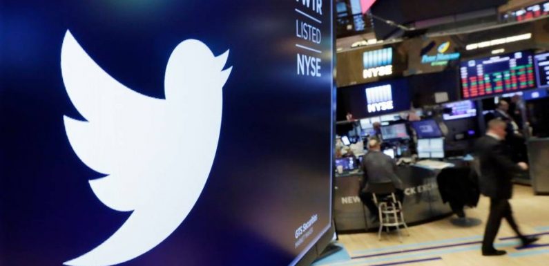 Loi contre les «fake news»: Twitter bloque une campagne du gouvernement français