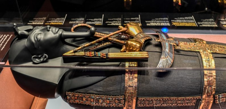 Egypte: Entre éviscération et dessiccation, les secrets de la momification «grand luxe» ou «low cost» au temps des pharaons