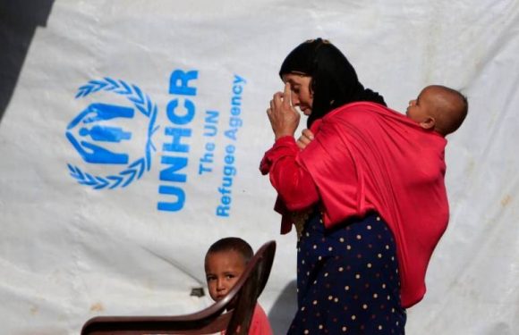 Au Liban, plus de 90% des familles de réfugiés syriens en état d&rsquo;insécurité alimentaire, selon l&rsquo;ONU