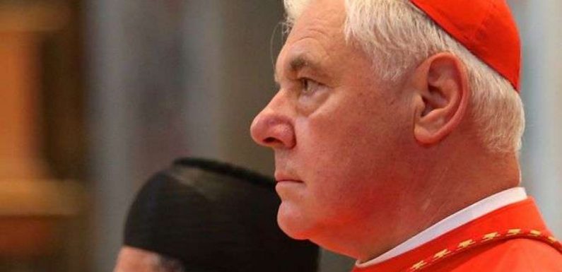 Le cardinal Müller à ceux qui critiquent Benoît XVI : ils n’ont en tête que l’adaptation à leur propre état de décadence