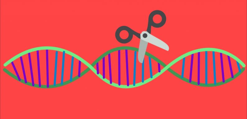 Le « ciseau génétique » CRISPR a été utilisé sur deux humains atteints d’un cancer
