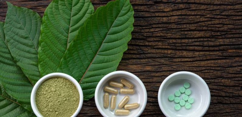 Kratom : 91 morts dues à cet antidouleur