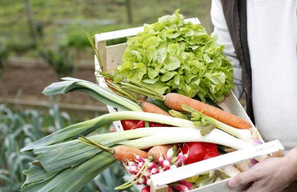 Semaine étudiante du développement durable : 3 initiatives inspirantes repérées dans les campus