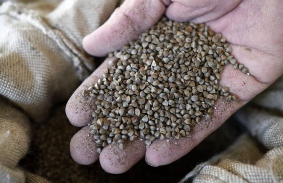 Le sarrasin, sain et revisité, conquiert les papilles des Français