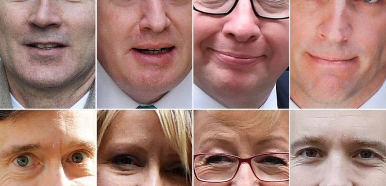 Déjà huit candidats pour remplacer Theresa May en Grande-Bretagne