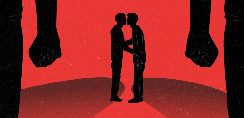 GRAND FORMAT. Agressions, insultes, harcèlement… Cinq mois de violences contre les LGBTI en France